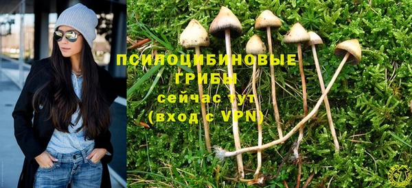 COCAINE Шадринск