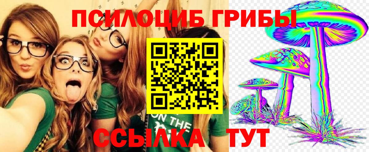Псилоцибиновые грибы GOLDEN TEACHER Череповец