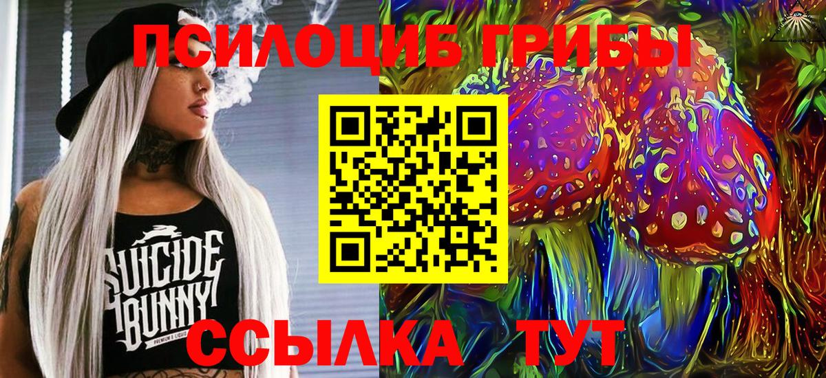 Галлюциногенные грибы Cubensis Череповец