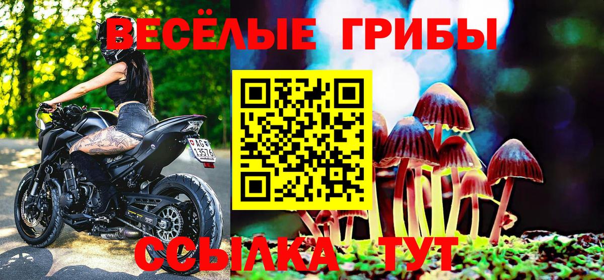 Череповец  Галлюциногенные грибы ЛСД  Вход с VPN 